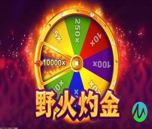 危机救援